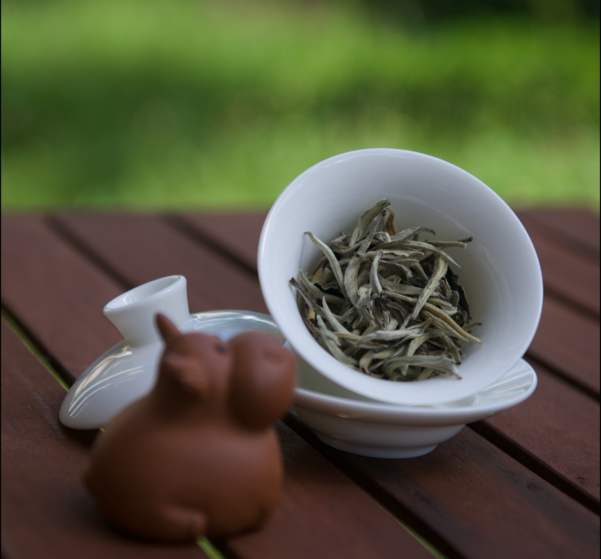 Silver Needle (Bai Hao Yin Zhen, 白毫银针)